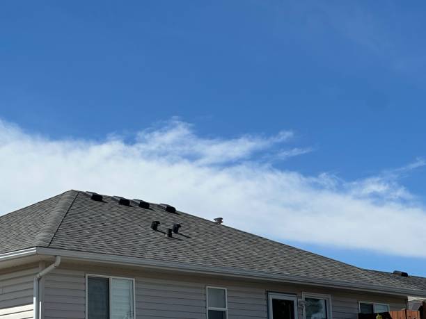 Best Sheet Metal Roofing  in Giddings, TX